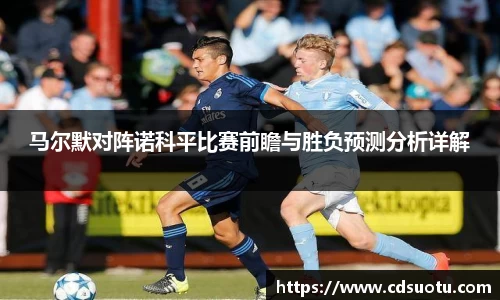 马尔默对阵诺科平比赛前瞻与胜负预测分析详解